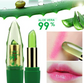 Aloe Vera Gel Color Changing Gloss Lipstick